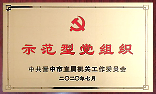 2020年度示范型党组织 2020年度示范型党组织